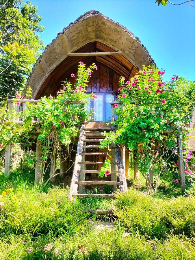 Rice Straw Green Lodge- Resort Quan Tom 外观 照片
